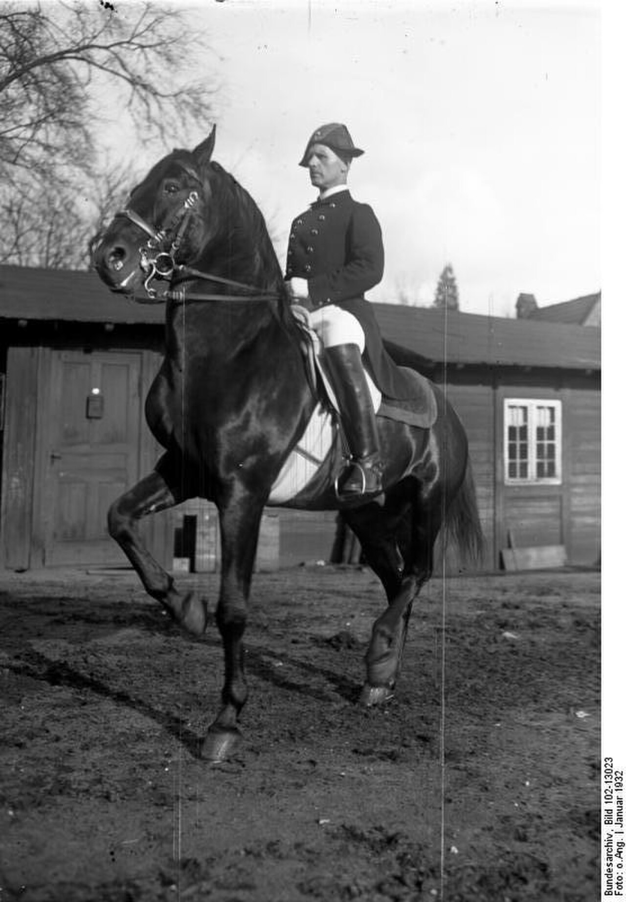 Spanish Riding School の写真