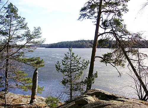 Drevviken
