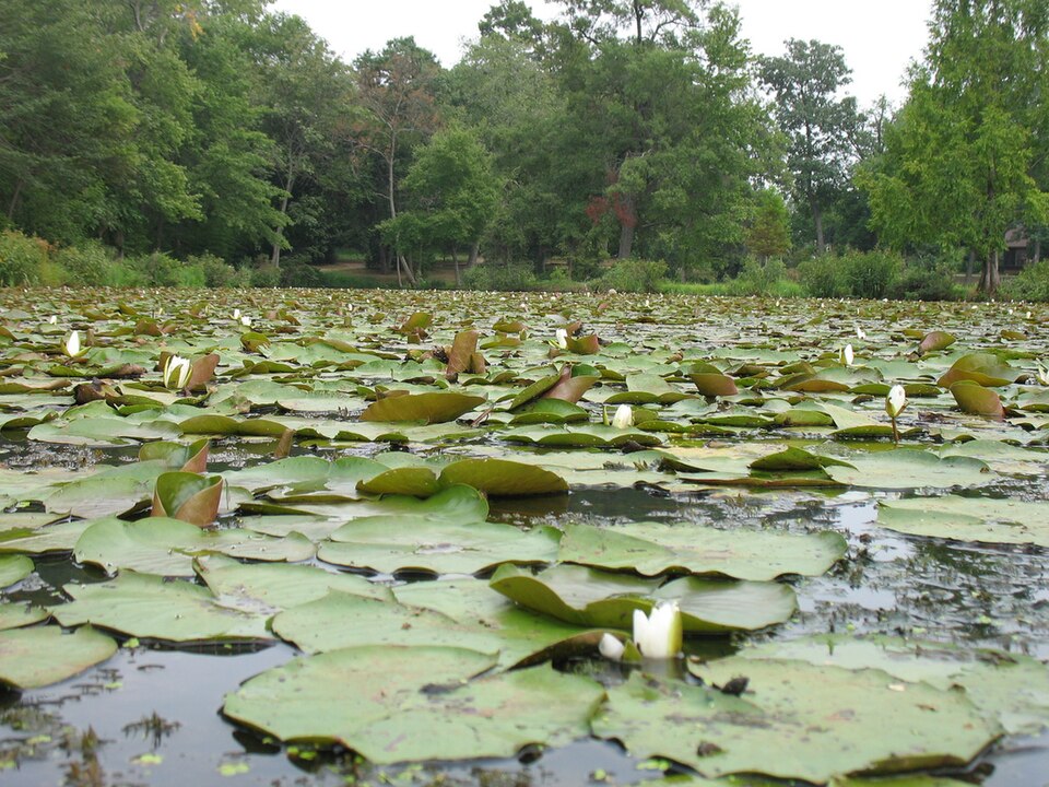 A photograph of Kenilworth Park and Aquatic Gardens