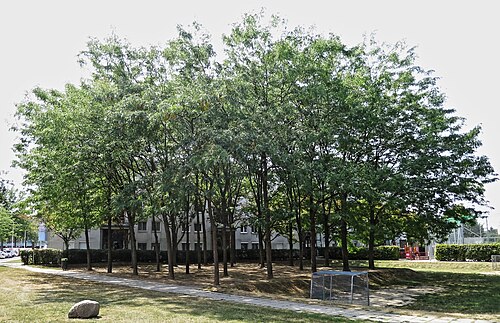 Trygve-Lie-Park