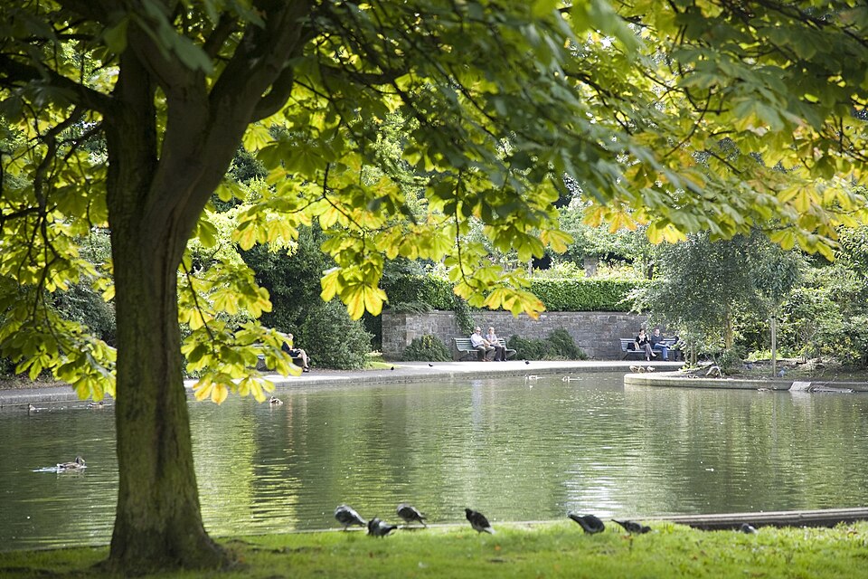 A photograph of Herbert Park