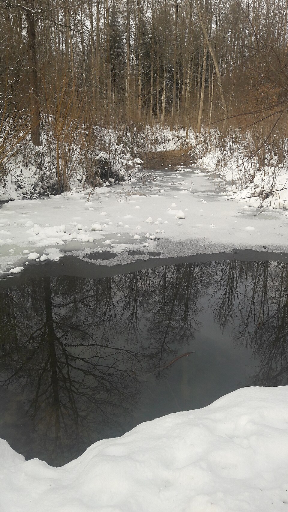 A photograph of Hönggerberg