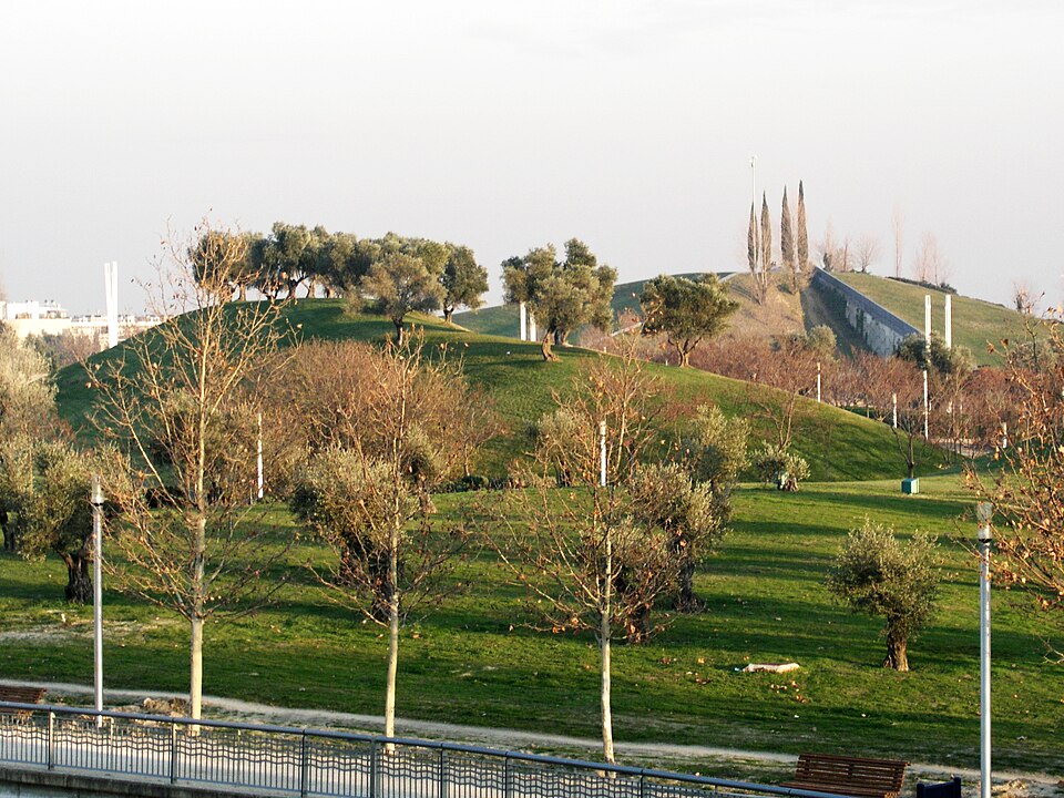 Juan Carlos I Park