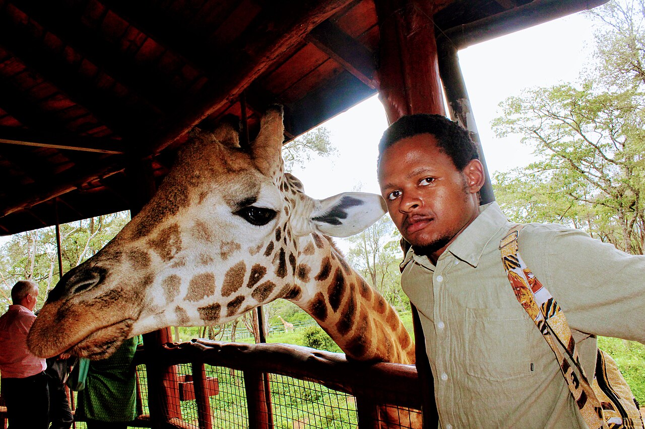 صورة Giraffe Centre