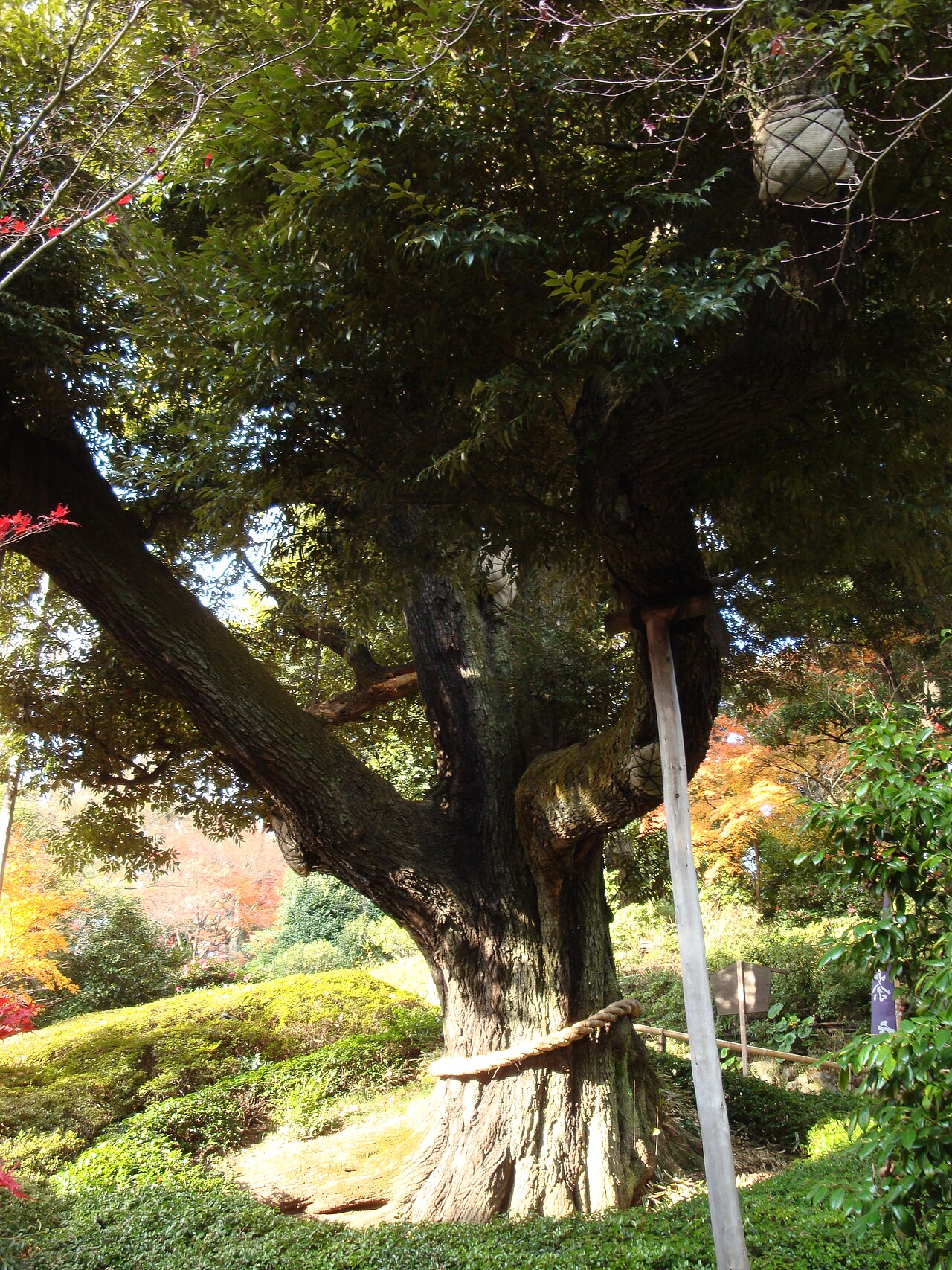 Chinzan-sō fotoğrafı