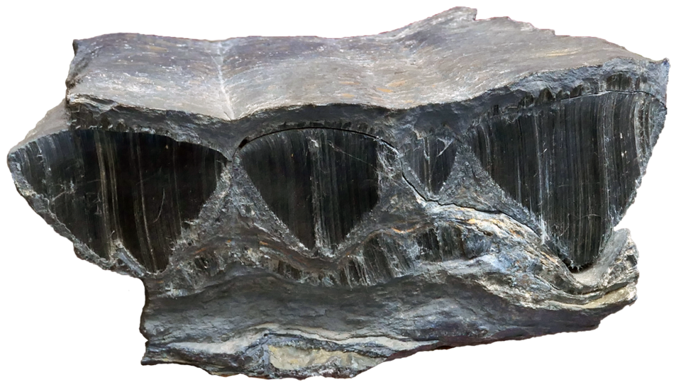 A photograph of Geologisches Museum München