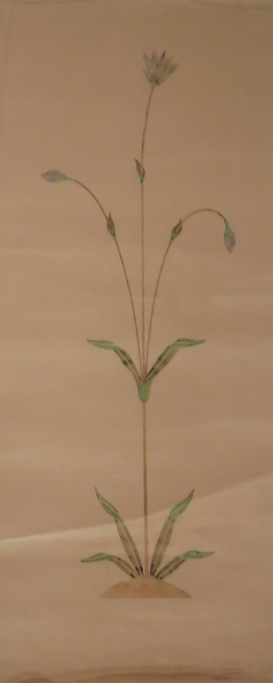 A photograph of Shangri La Museum