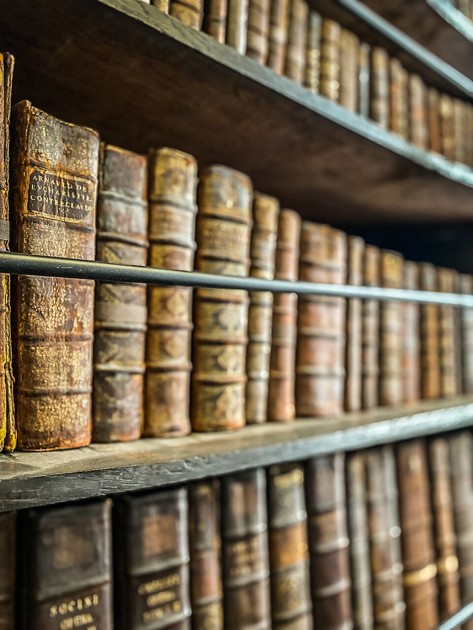 A photograph of Marsh's Library