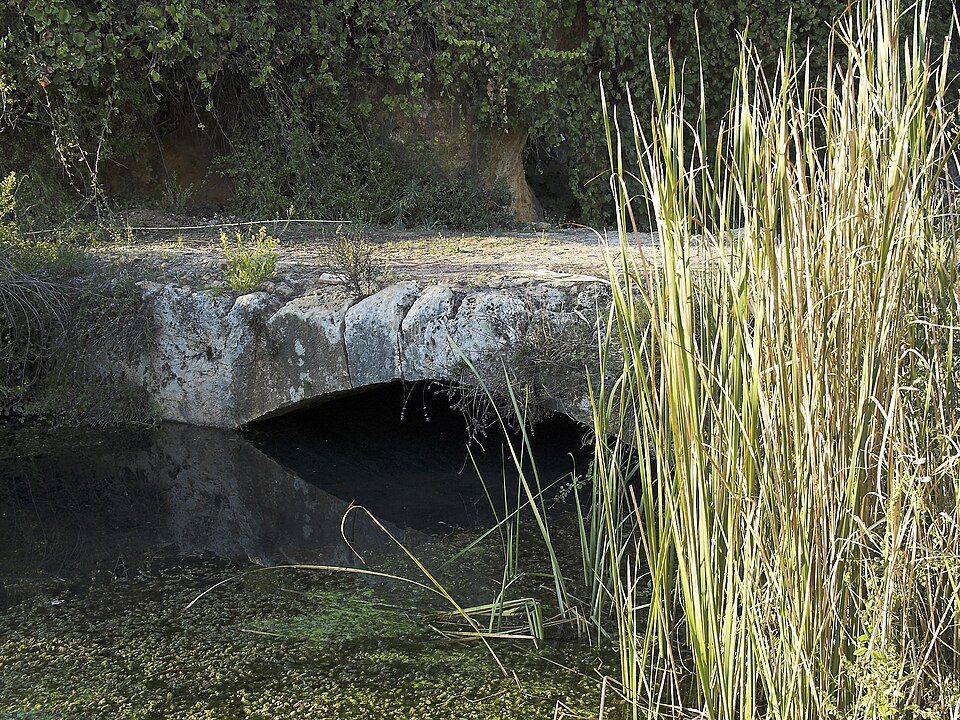 A photograph of Arapsu Bridge