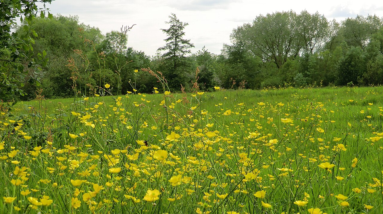 Broadhurst Park の写真