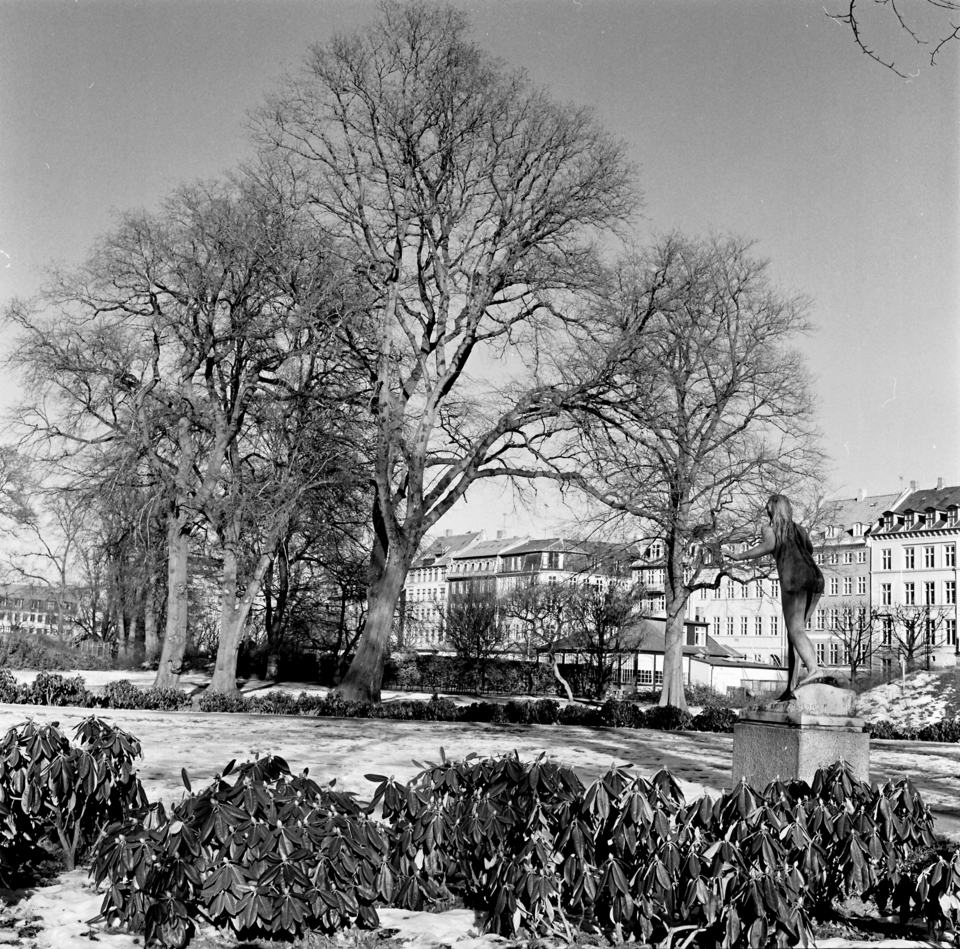 A photograph of Rosenborg Castle Gardens