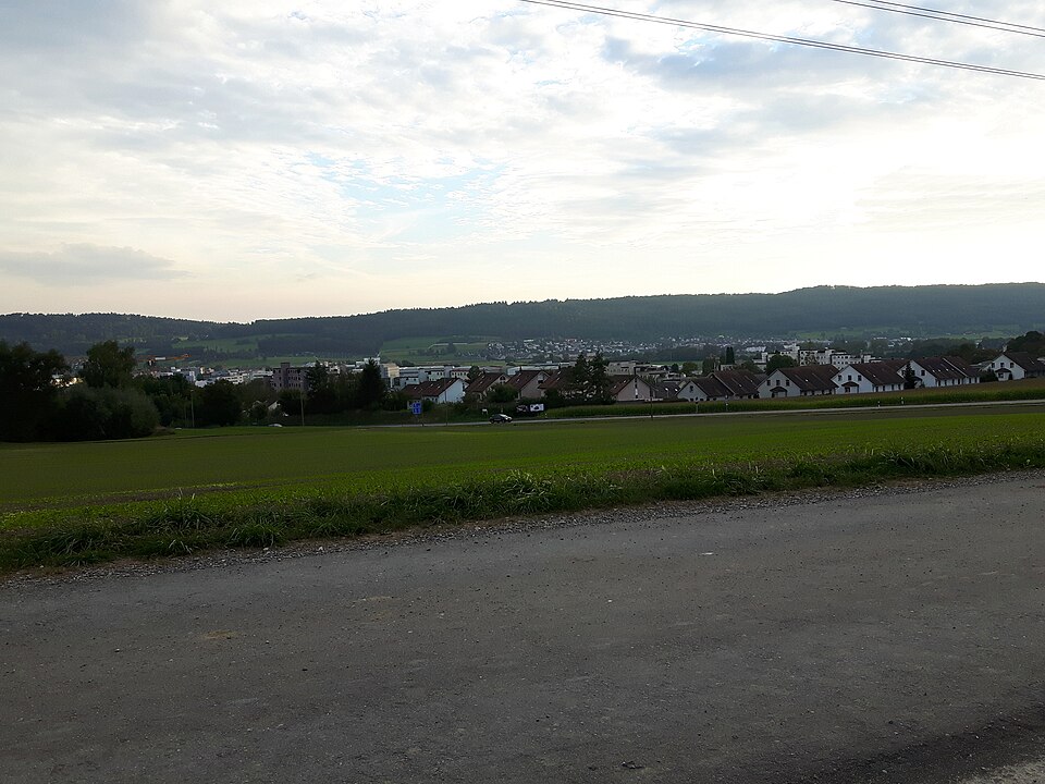 A photograph of Gubrist