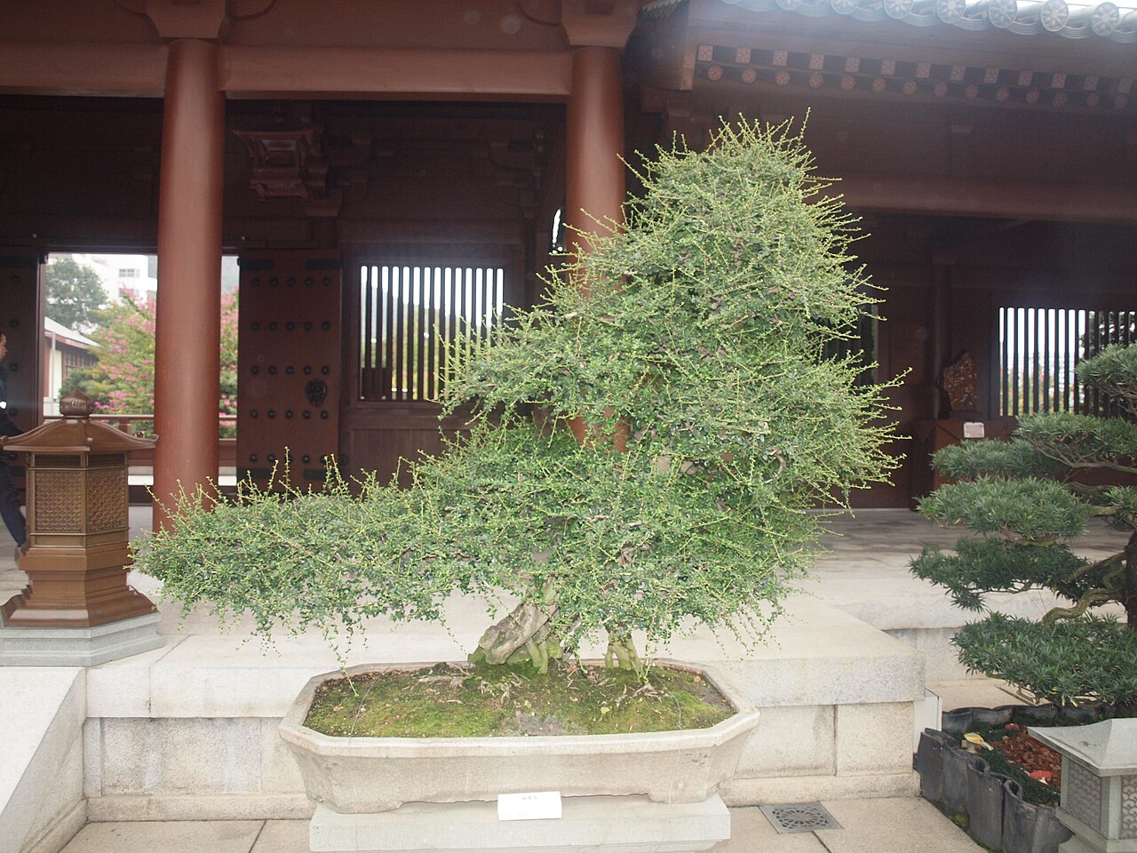 صورة Chi Lin Nunnery