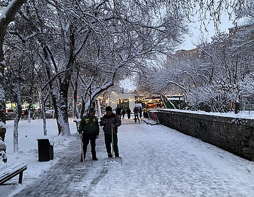 Բուենոս Այրեսի այգի