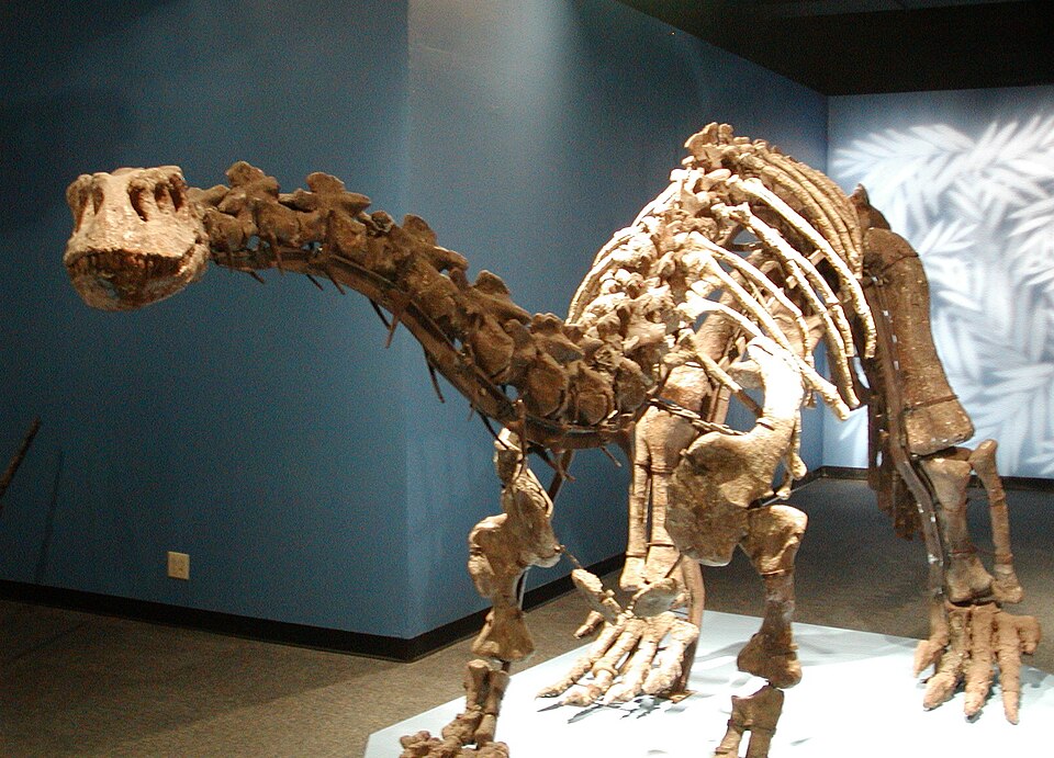 A photograph of Patricia and Phillip Frost Museum of Science