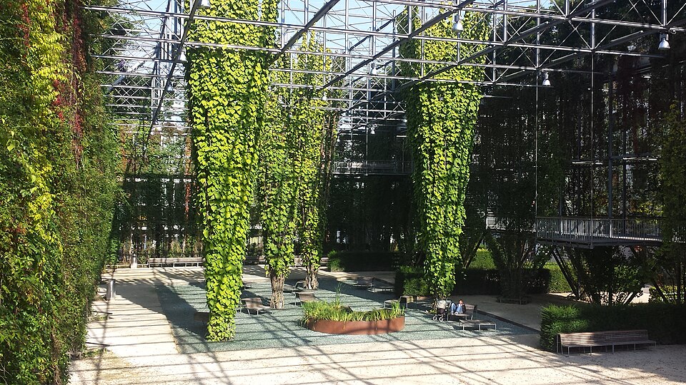A photograph of MFO-Park