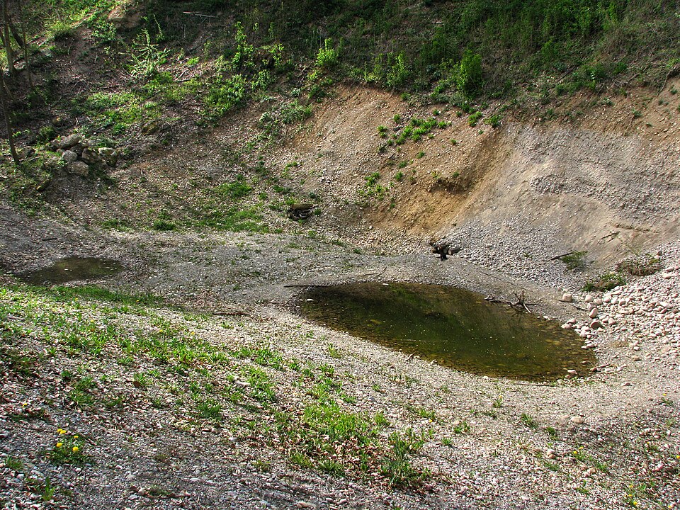 A photograph of Gubrist