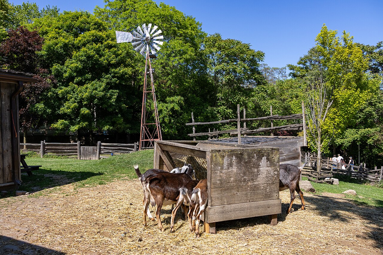 Riverdale Farm