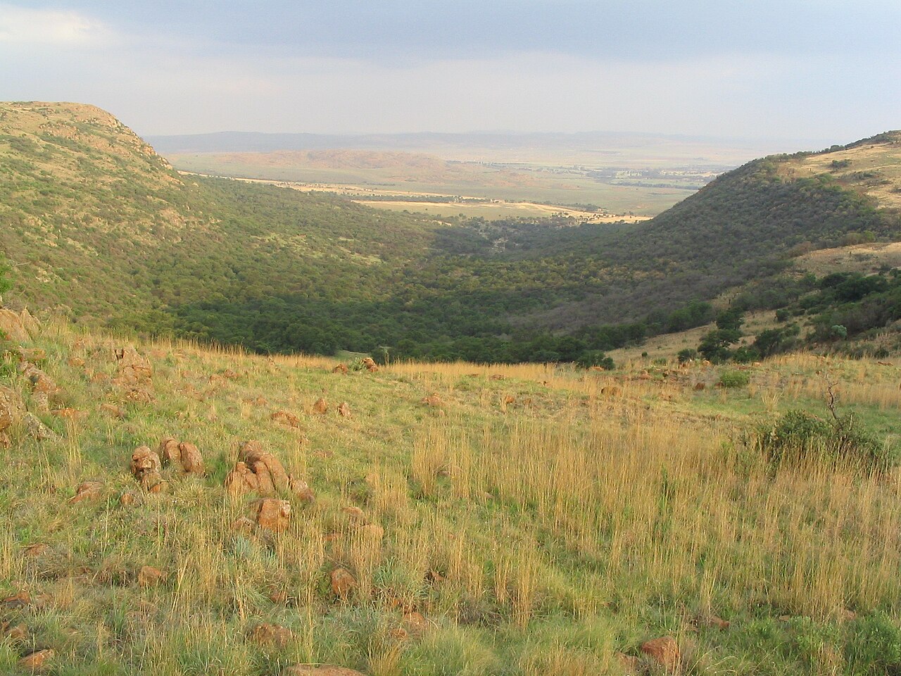 صورة Suikerbosrand Nature Reserve
