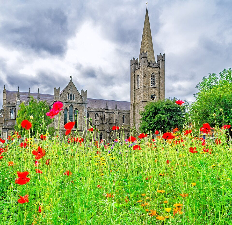 A photograph of St Patrick's Cathedral