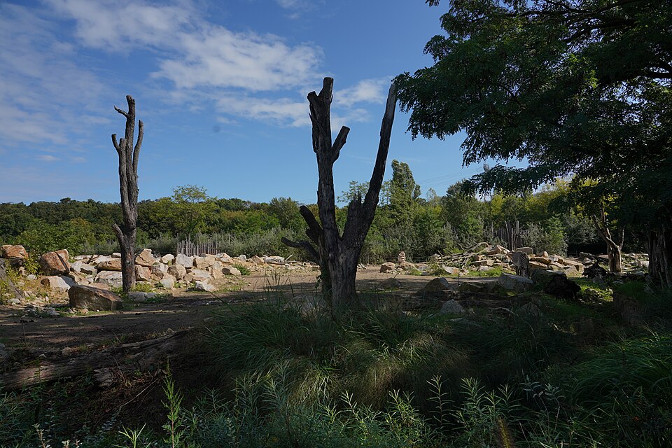A photograph of Tierpark Berlin