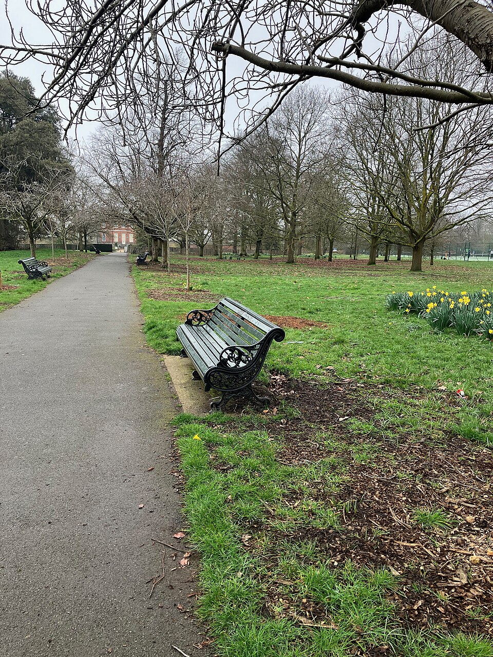 A photograph of Greenwich Park