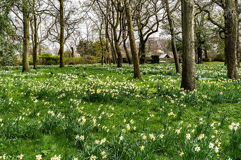 A photograph of National Botanic Gardens