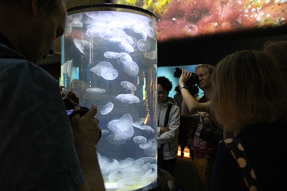 A photograph of Baltic Sea Science Center