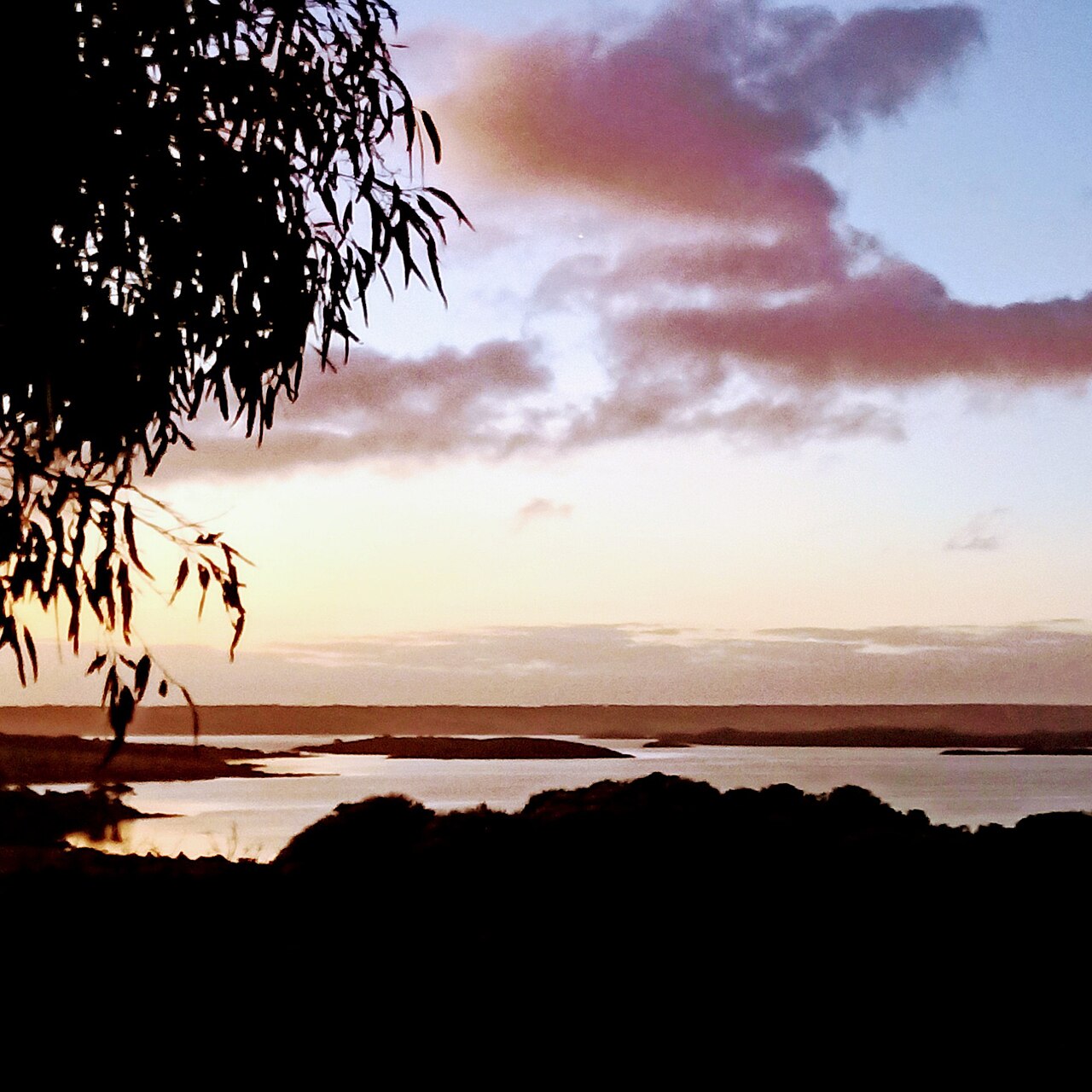 A photograph of The Lagoon Conservation Area