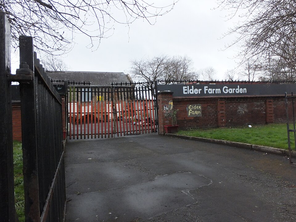 A photograph of Elder Park
