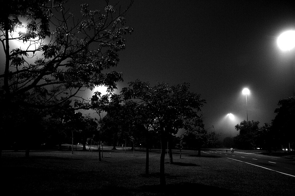 A photograph of Flamengo Park