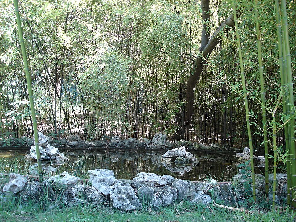 A photograph of Campo del Moro