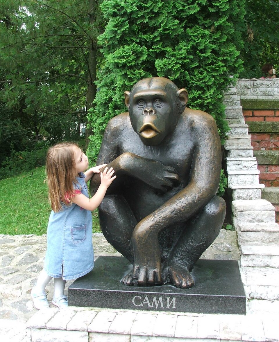 A photograph of Belgrade Zoo
