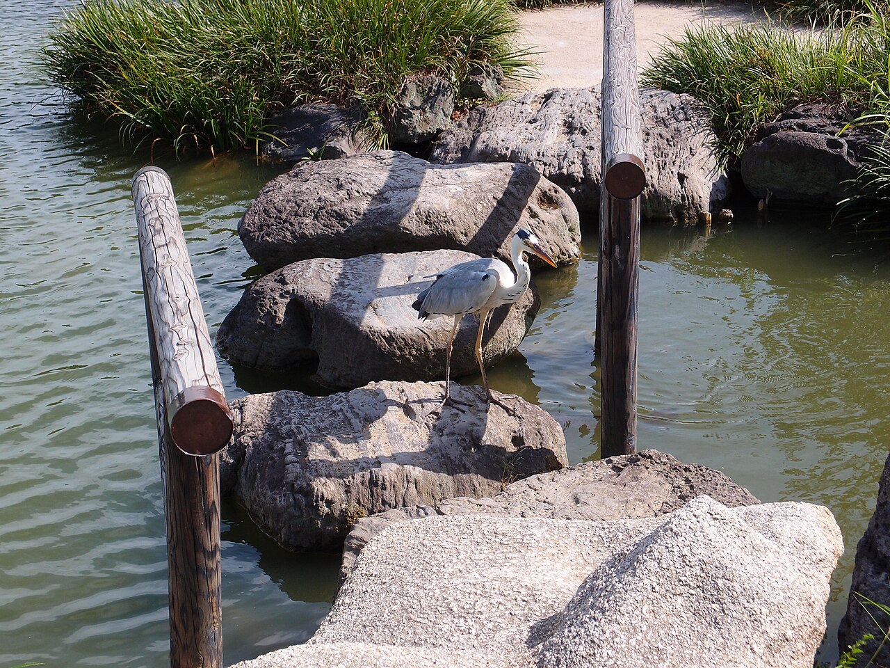 Kiyosumi Garden fotoğrafı
