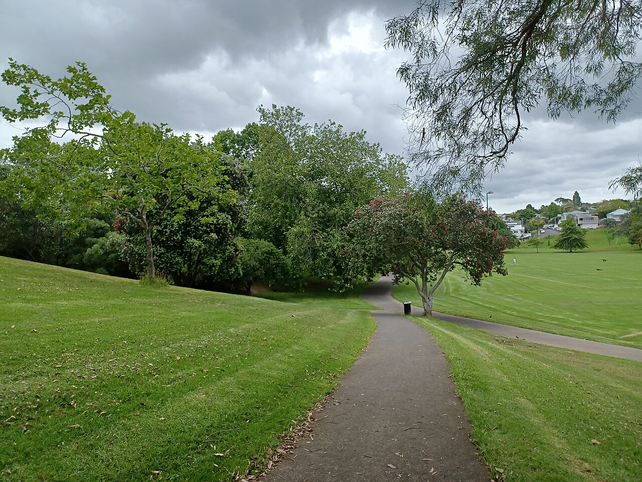 Grey Lynn Park
