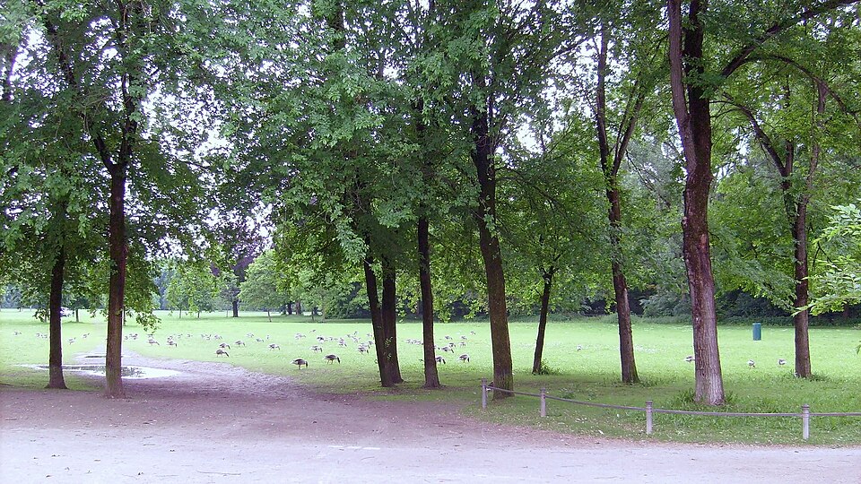 A photograph of Englischer Garten