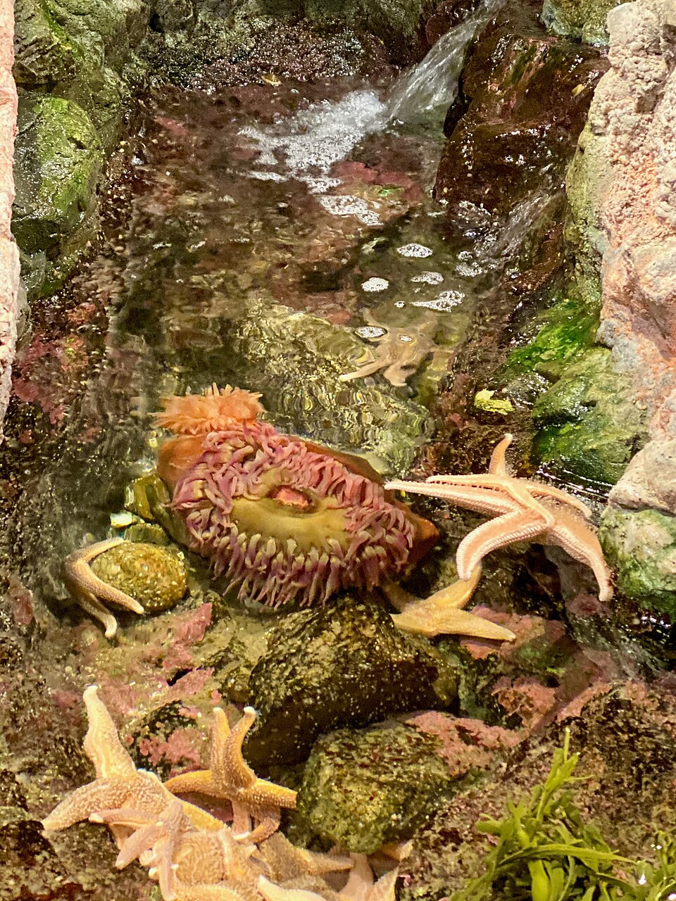 A photograph of New England Aquarium