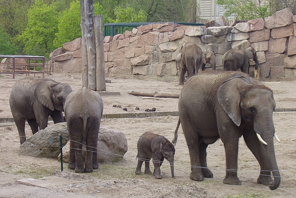 A photograph of Tierpark Berlin