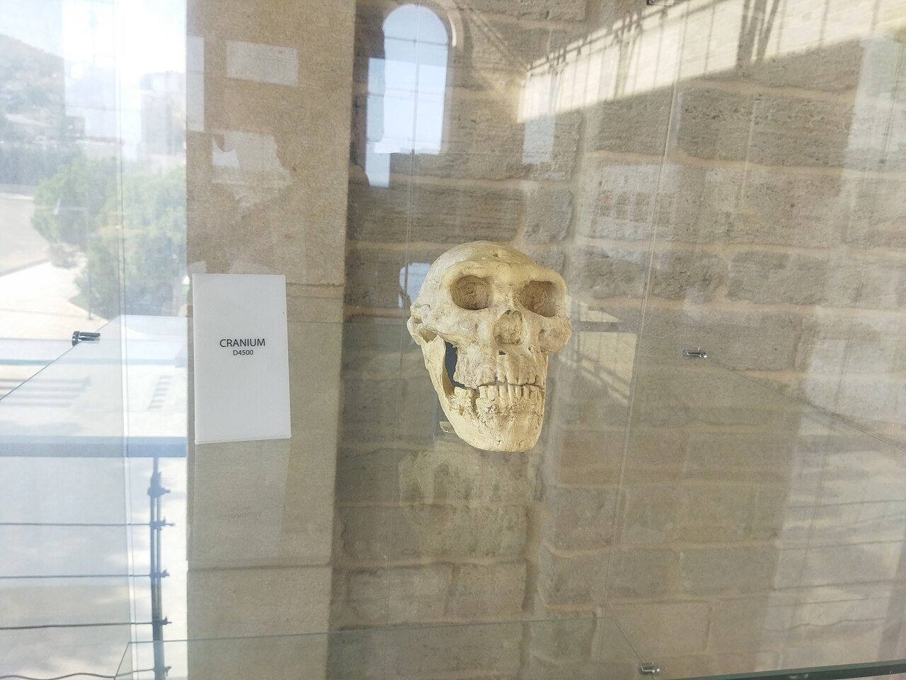 Une photographie de Stone Chronicle Museum