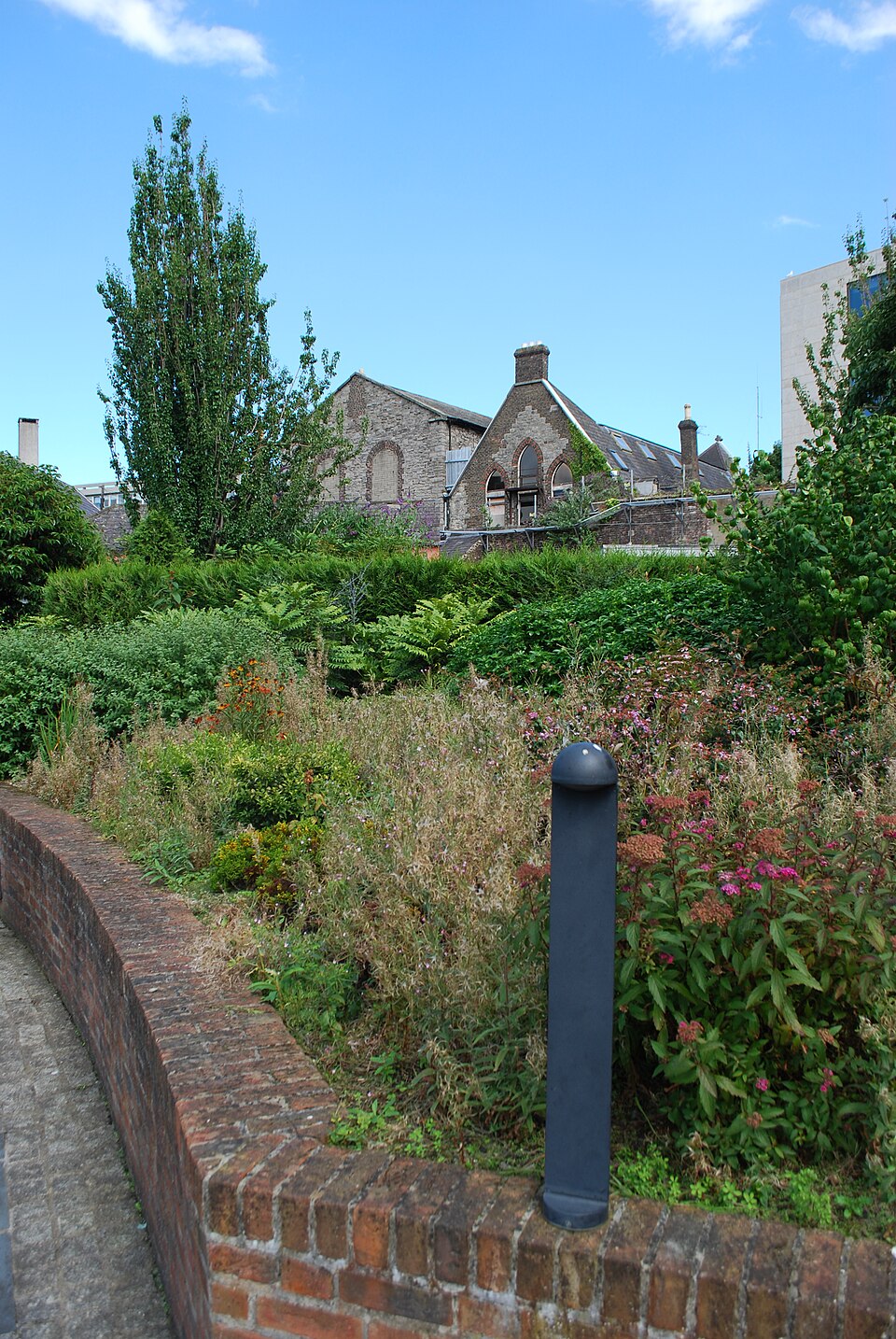 A photograph of Dubh Linn Garden