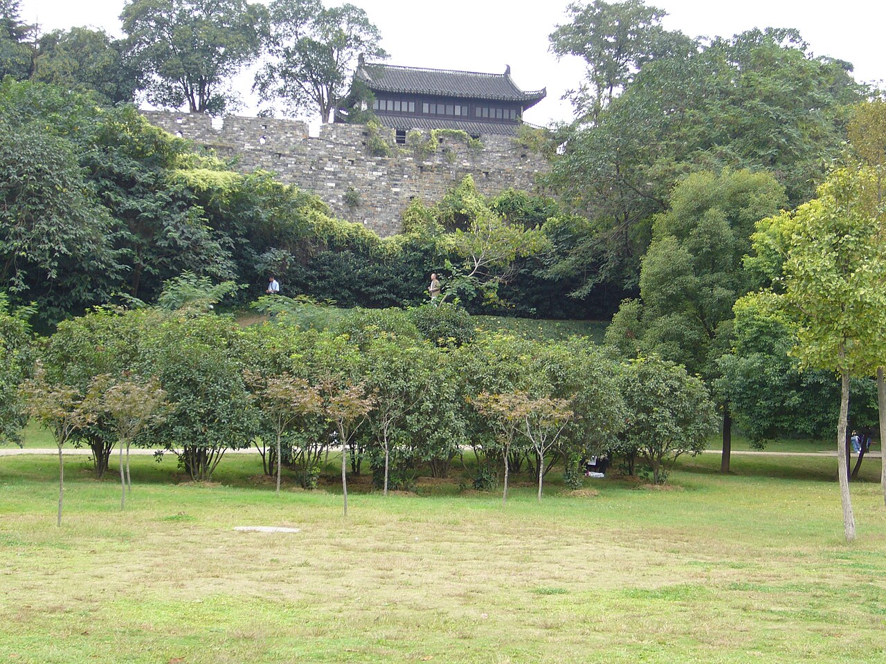 南京博物院南农大分院