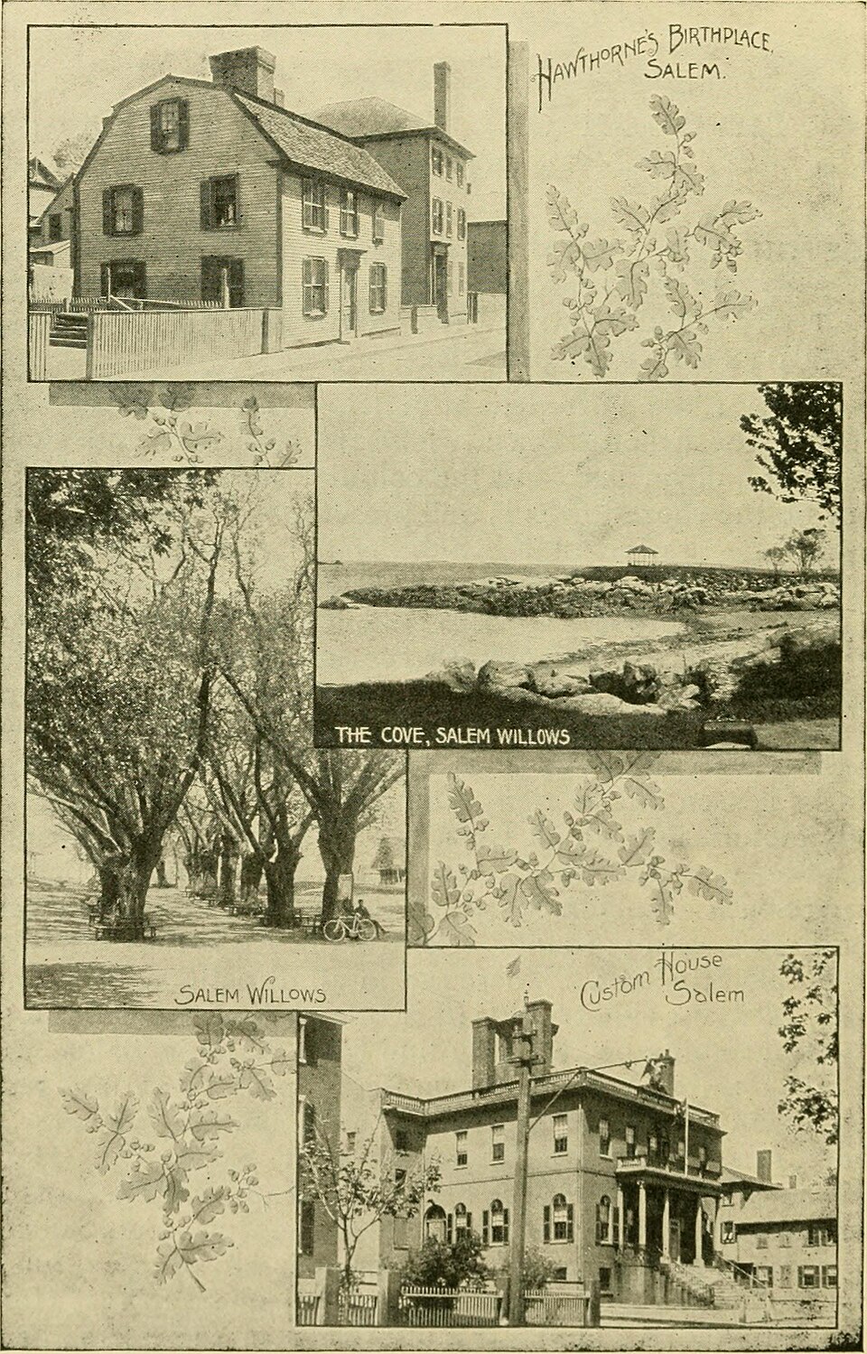 A photograph of Willows Park