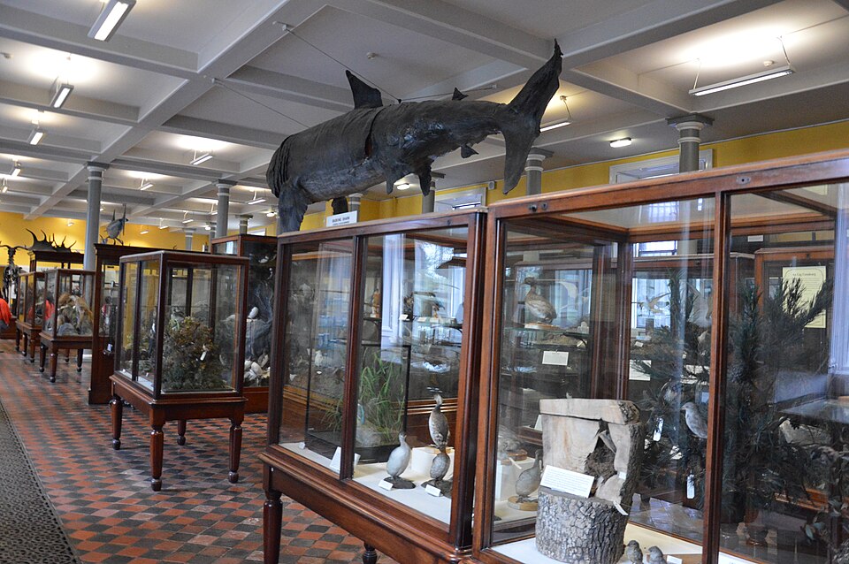A photograph of National Museum of Ireland, Merrion Street