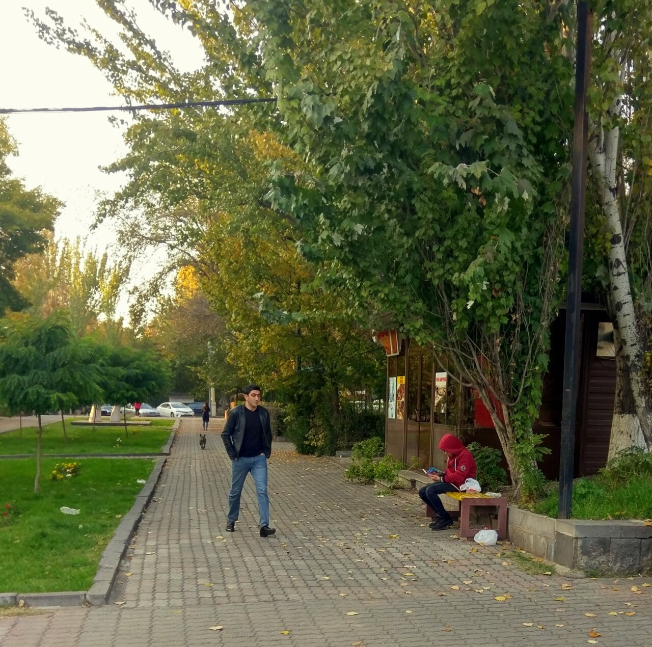 A photograph of Circular Park