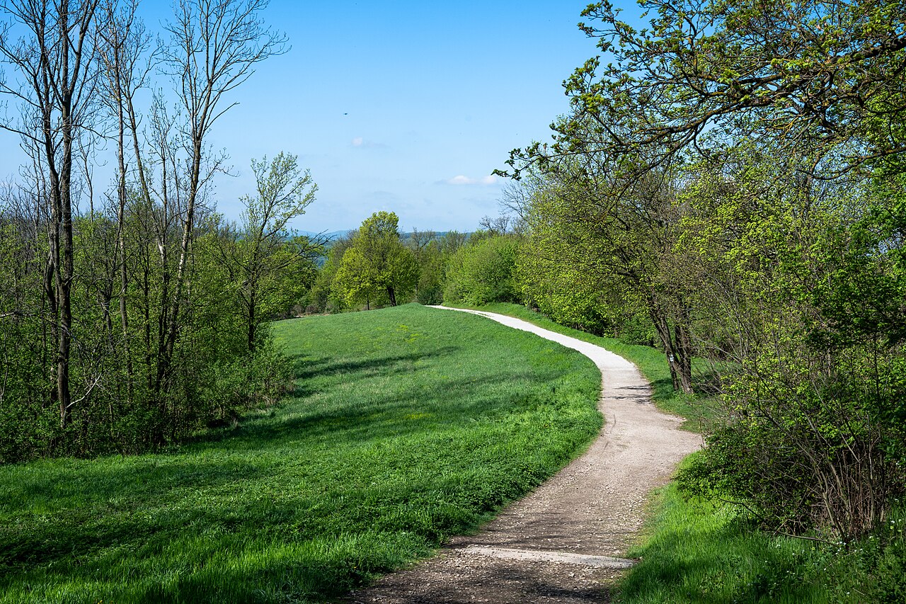 Ein Foto von Hermannskogel