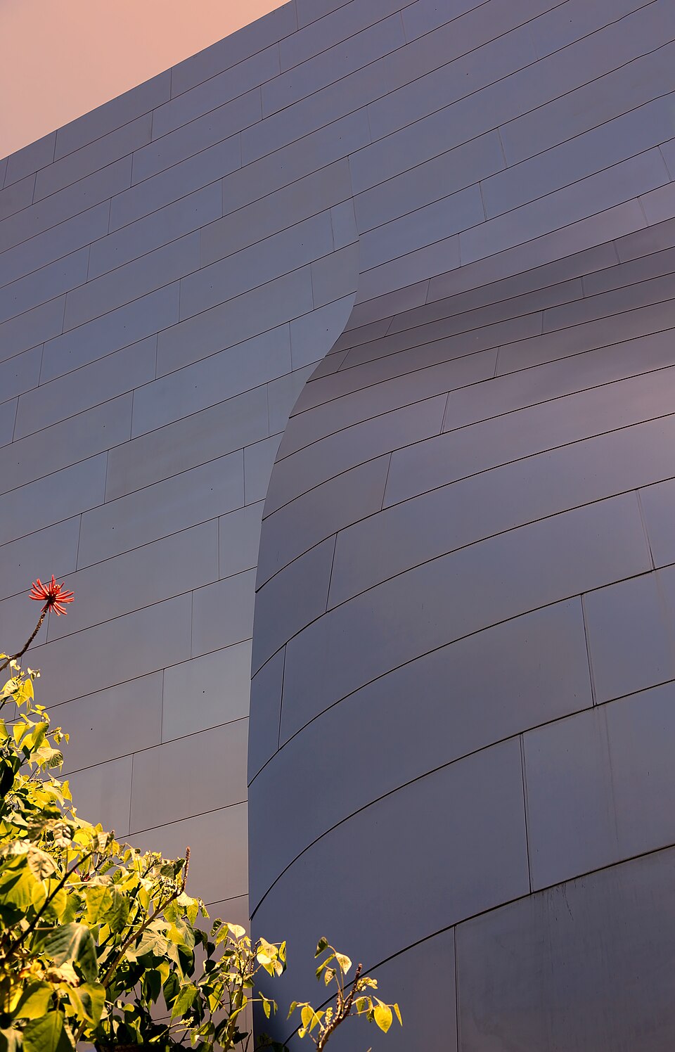 A photograph of Walt Disney Concert Hall