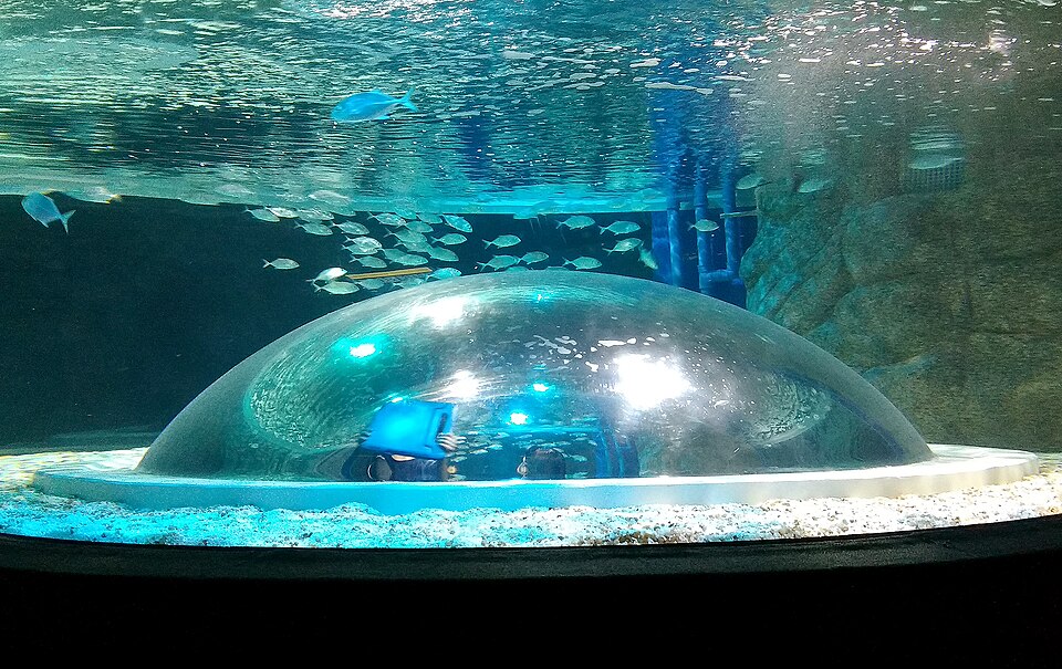 A photograph of AquaRio
