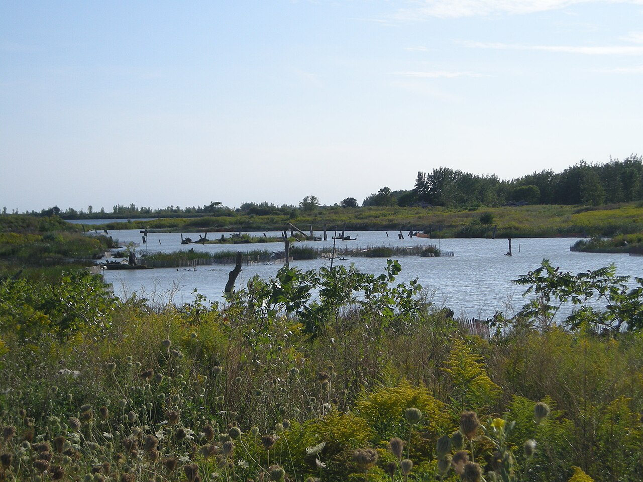 Una fotografia di Leslie Street Spit