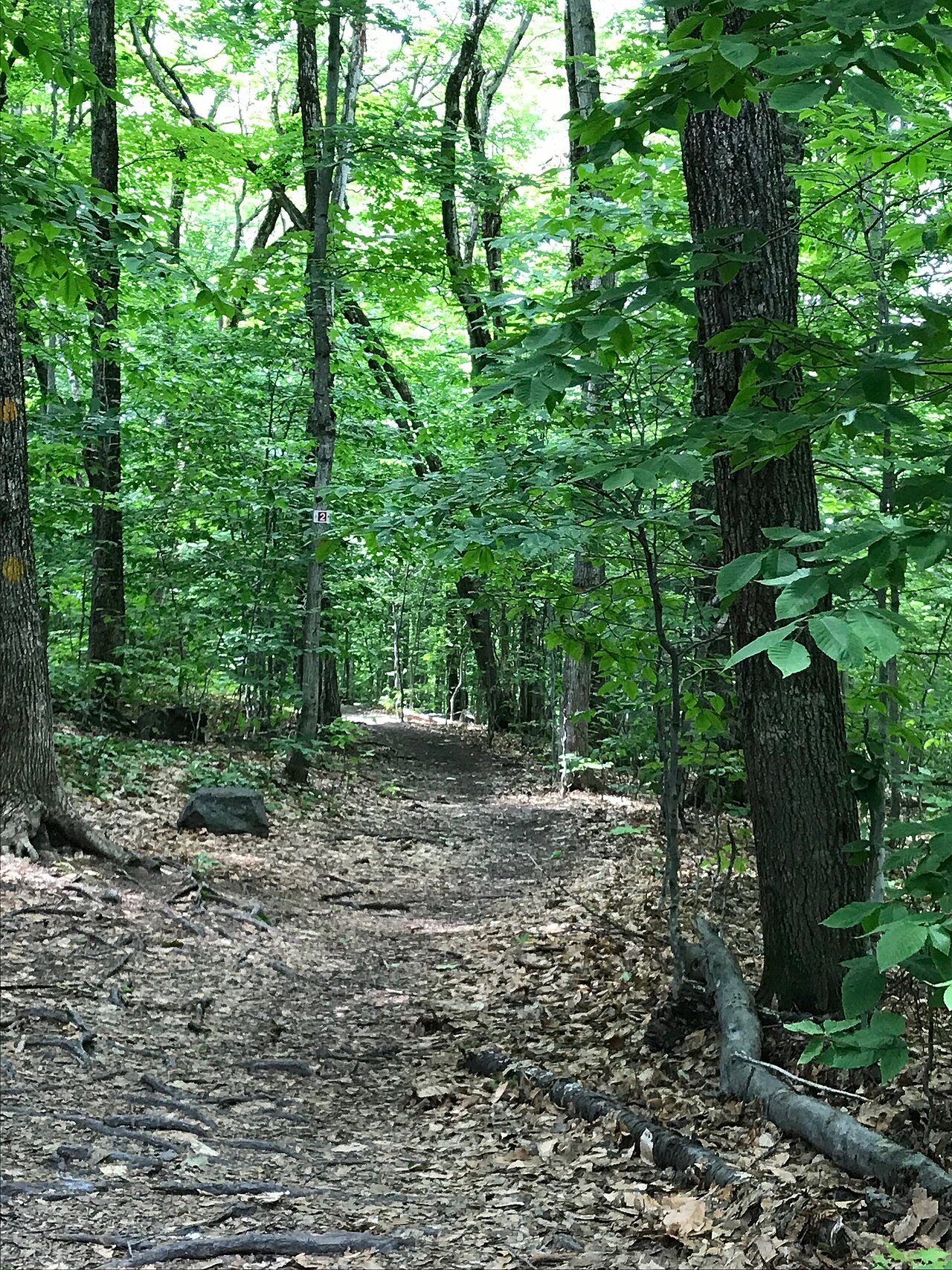 Parc Valéro-Les Écarts