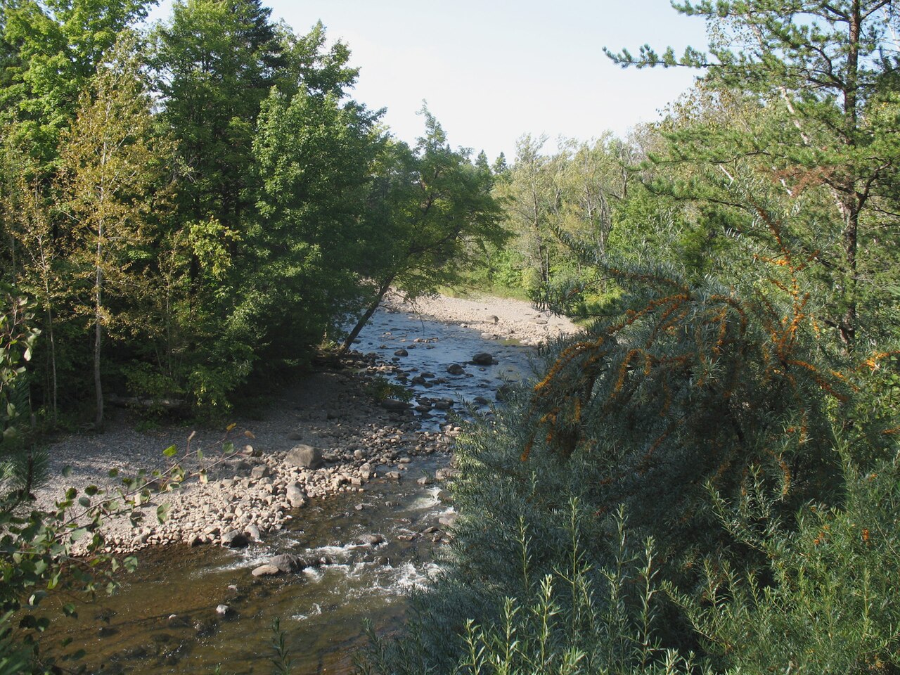 Parc Chauveau